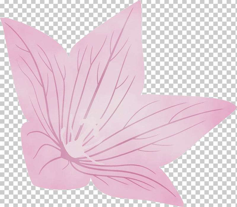 Petal Flower Butterflies Lepidoptera PNG, Clipart, Balloon Flower, Butterflies, Flower, Lepidoptera, Paint Free PNG Download