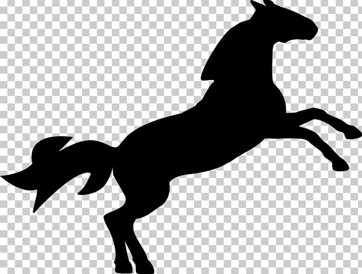 Horse PNG, Clipart, Animals, Black, Black And White, Colt, Computer Icons Free PNG Download