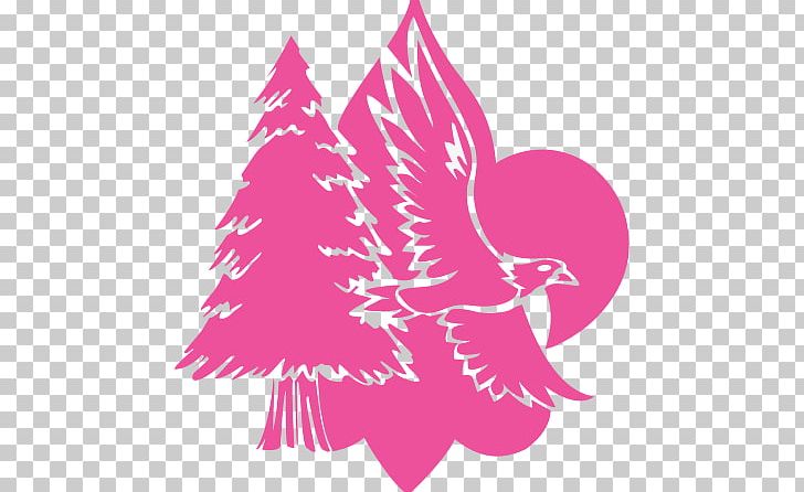 Logo Brand PNG, Clipart, Beak, Bird, Bird Logo, Branch, Brand Free PNG Download
