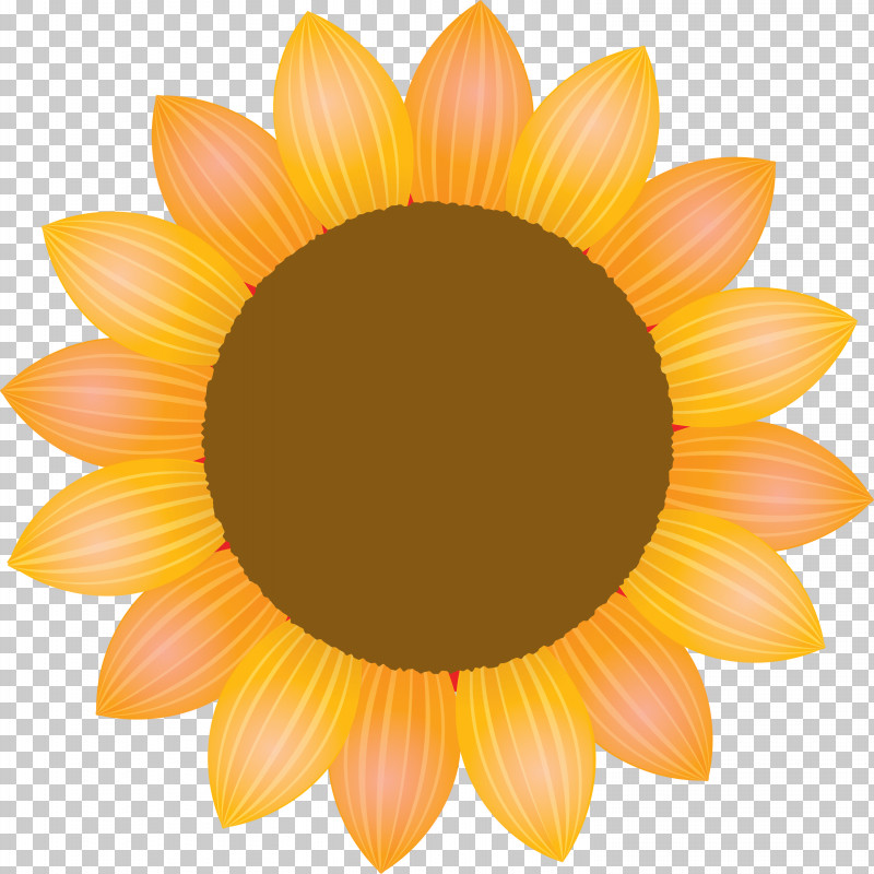 Sunflower Petal Flower PNG, Clipart, Asterales, Daisy Family, Flower, Gazania, Gerbera Free PNG Download