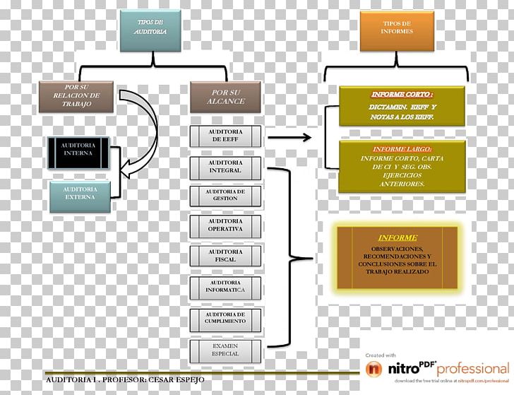 Audit Report Esquema Conceptual Organization Quality Management System PNG, Clipart, Audit, Brand, Communication, Computing, Data Free PNG Download