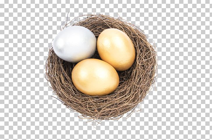 Bird Nest Egg Bird Nest PNG, Clipart, Animals, Bird, Bird Egg, Bird Nest, Birds Free PNG Download
