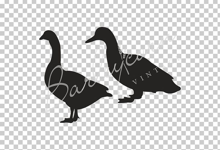 Duck Goosey Goosey Gander Stencil Schablone PNG, Clipart, Animals, Animal Stencil, Beak, Bird, Black And White Free PNG Download