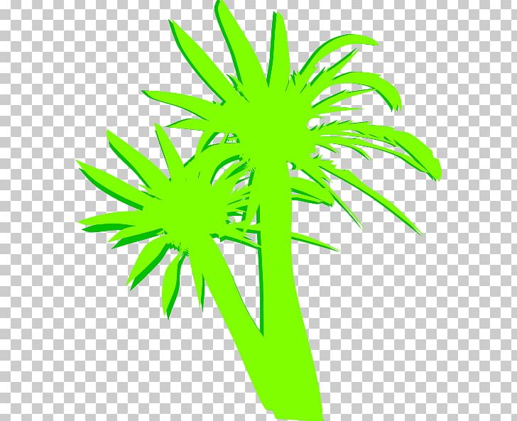 Palm Trees Computer Icons Portable Network Graphics PNG, Clipart, Arecales, Art, Computer Icons, Download, Email Free PNG Download