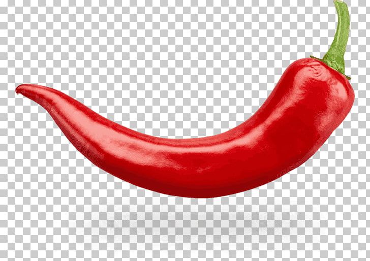 Salsa Nachos Chili Pepper Hot Sauce Scoville Unit PNG, Clipart,  Free PNG Download