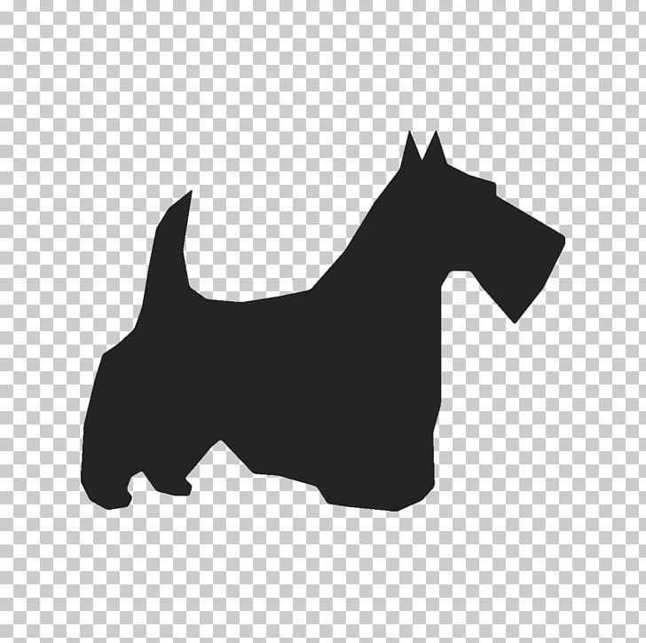 Scottish Terrier American Pit Bull Terrier Boston Terrier PNG, Clipart, American Pit Bull Terrier, Animals, Beagle, Black, Black And White Free PNG Download