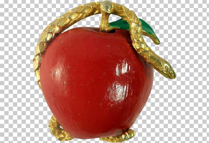Brooch Pin Apple Jewellery Garden Of Eden PNG, Clipart, Apple, Brooch, Christmas, Christmas Ornament, Food Free PNG Download