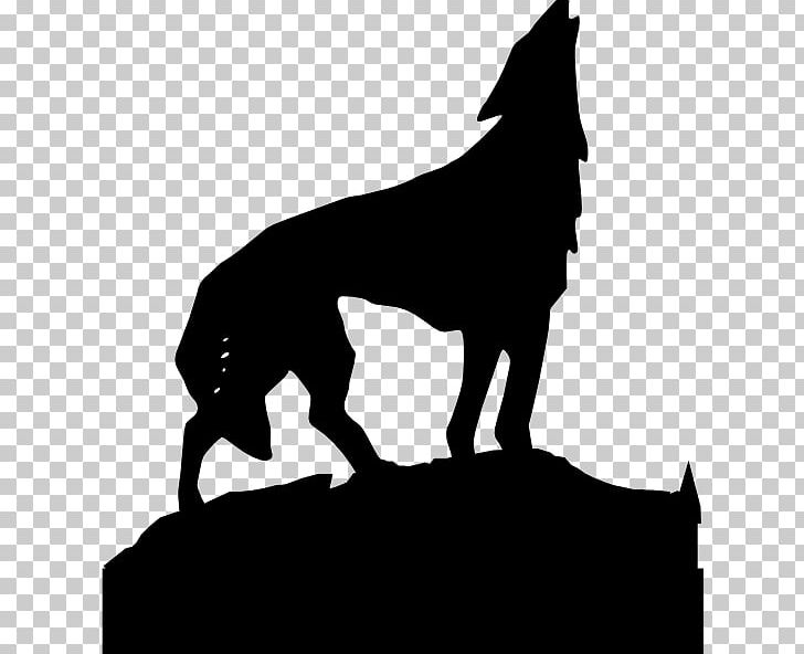 Gray Wolf PNG, Clipart, Black, Black And White, Black Wolf, Carnivoran, Computer Icons Free PNG Download