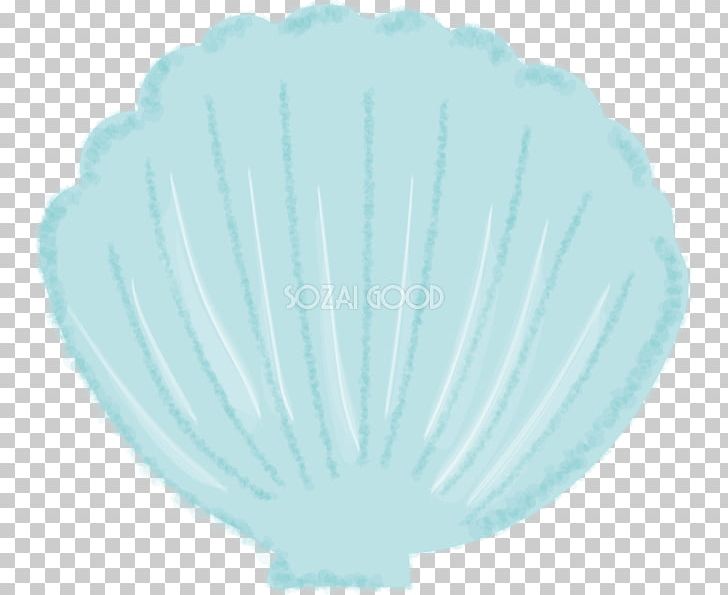 Illustrator Seashell Png Clipart Aqua Illustrator Patinopecten Yessoensis Pdf Sea Free Png Download