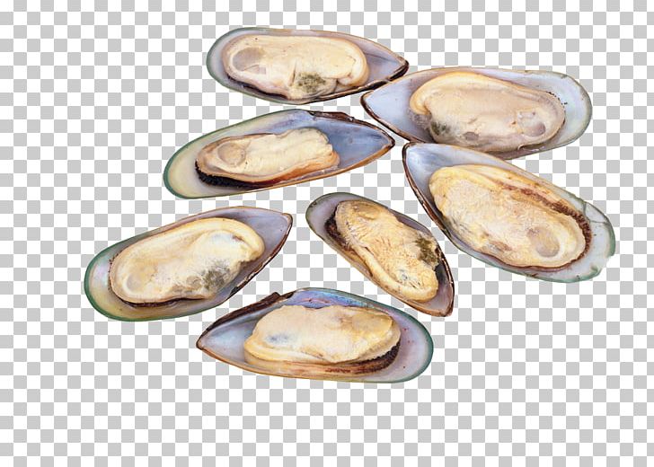 La Vitamina B12 Nutrient Vitamin B-12 Vitamin B12 Deficiency PNG, Clipart, Animal Source Foods, B Vitamins, Clam, Clams Oysters Mussels And Scallops, Delicious Free PNG Download