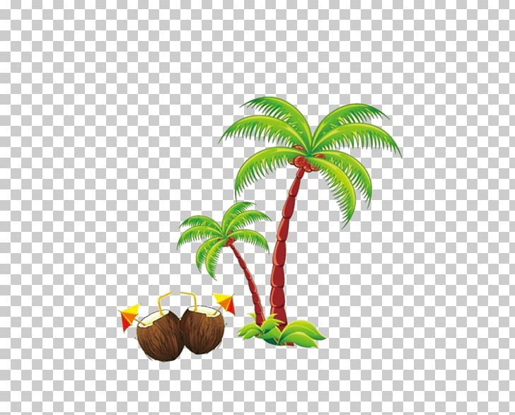 Beach Holiday PNG, Clipart, Branch, Christmas Tree, Coconut, Coconut Tree, Coconut Tree Beach Free PNG Download