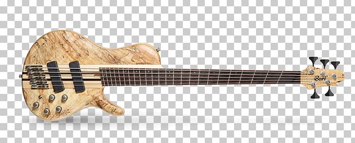 Bass Guitar Ukulele Ibanez RG PNG, Clipart, 5 Plus, Acoustic Electric Guitar, Animal Figure, Guitar Accessory, Guitarist Free PNG Download