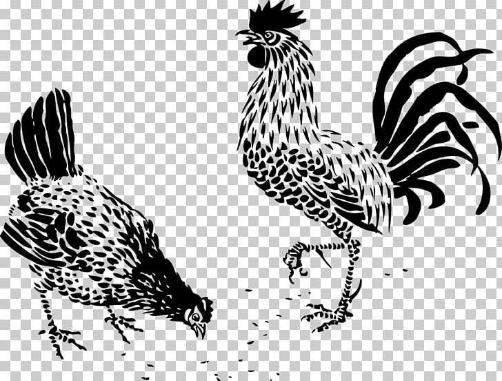 Chicken Rooster PNG, Clipart, Animals, Art, Beak, Bird, Black And White Free PNG Download