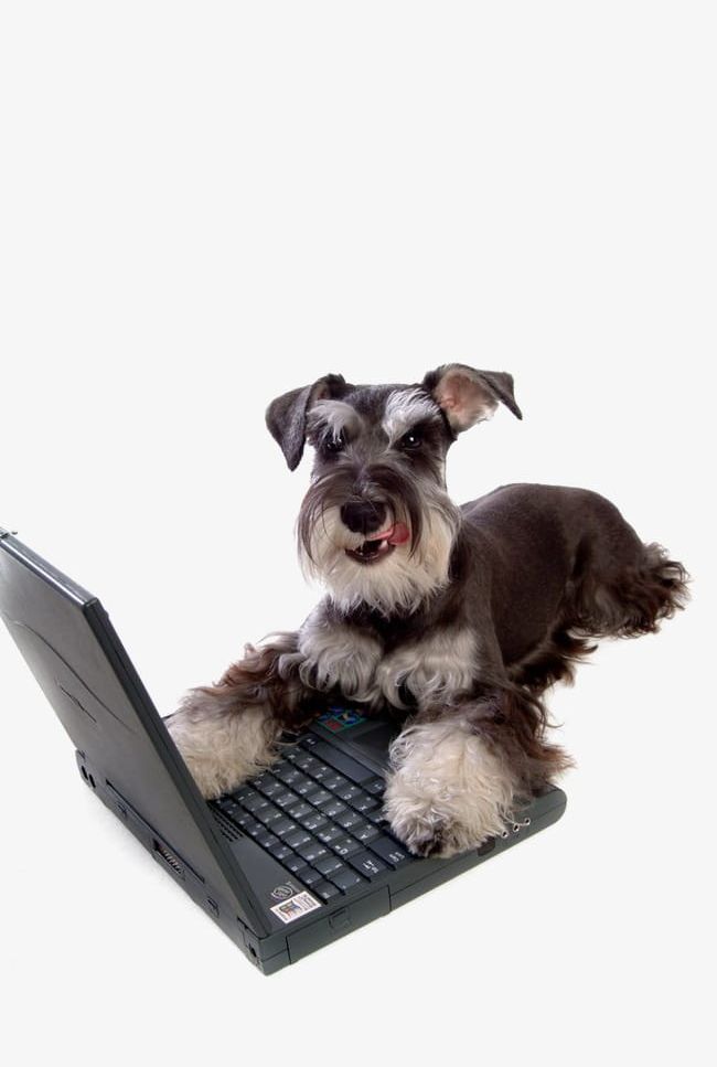 Dog PNG, Clipart, Animal, Animal Clipart, Animal Clipart, Dog, Dog Free PNG Download