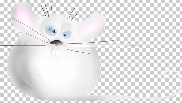 Whiskers Mouse Domestic Rabbit Rat Cat PNG, Clipart, Animal, Animals, Carnivoran, Cat, Cat Like Mammal Free PNG Download