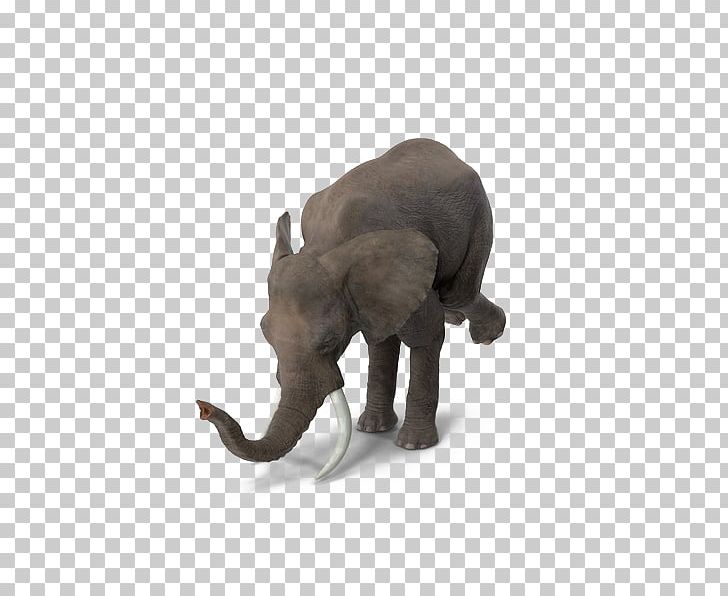 Circus Indian Elephant PNG, Clipart, Baby Elephant, Blog, Circus Clown, Circus Tent, Clown Free PNG Download