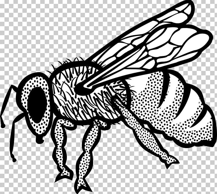 Honey Bee PNG, Clipart, Animals, Art, Arthropod, Artwork, Bee Free PNG Download