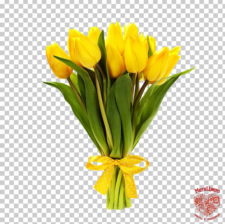 I Wandered Lonely As A Cloud Stock Photography Tulip Flower PNG, Clipart, Blume, Cut Flowers, Depositphotos, Floral Design, Floristry Free PNG Download