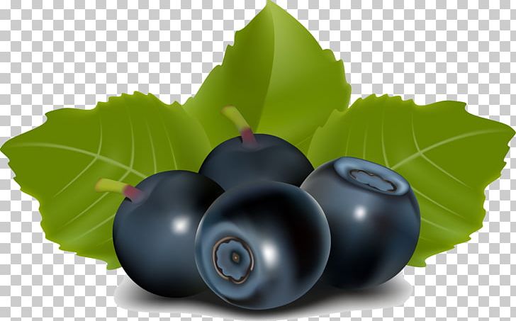 Blueberry Tea Juice Blackberry PNG, Clipart, Amora, Bilberry, Blueberry, Blueberry Tea, Currant Free PNG Download