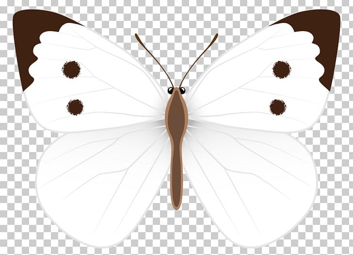 Butterfly Drawing PNG, Clipart, Arthropod, Brush Footed Butterfly, Butterflies And Moths, Butterfly, Child Free PNG Download