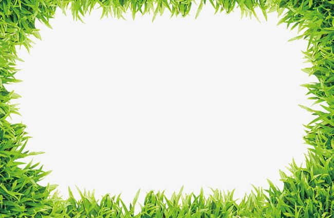 Small Grass Frame Material PNG, Clipart, Backgrounds, Box, Decoration, Design, Environment Free PNG Download