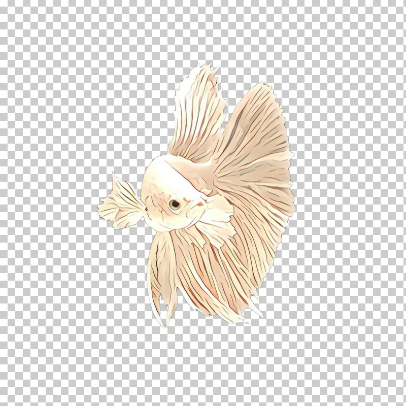 Feather PNG, Clipart, Beige, Feather, Tail, White, Wing Free PNG Download