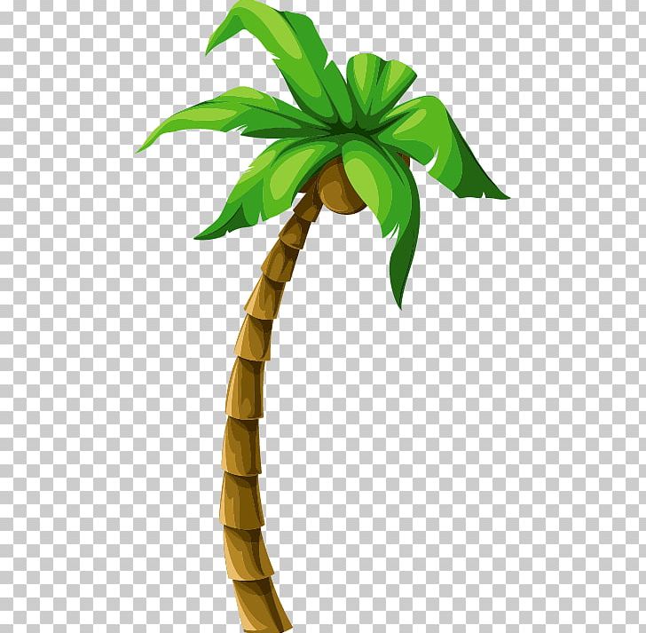 Coconut Tree Euclidean Beach PNG, Clipart, Arecaceae, Arecales, Coco, Coconut, Coconut Leaves Free PNG Download