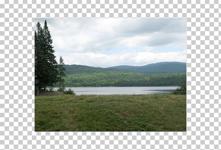 Connecticut Lakes Lake Connecticut Forest PNG, Clipart, Connecticut, Ecosystem, Fell, Fjord, Floodplain Free PNG Download