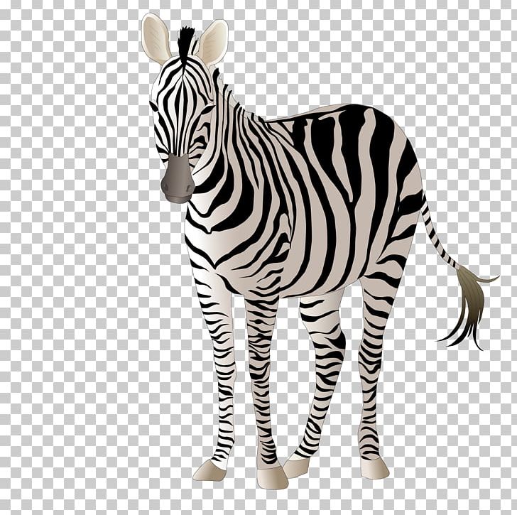 Giraffe Okapi Zebra Adobe Illustrator PNG, Clipart, Animal, Animal Print, Animals, Black And White, Download Free PNG Download