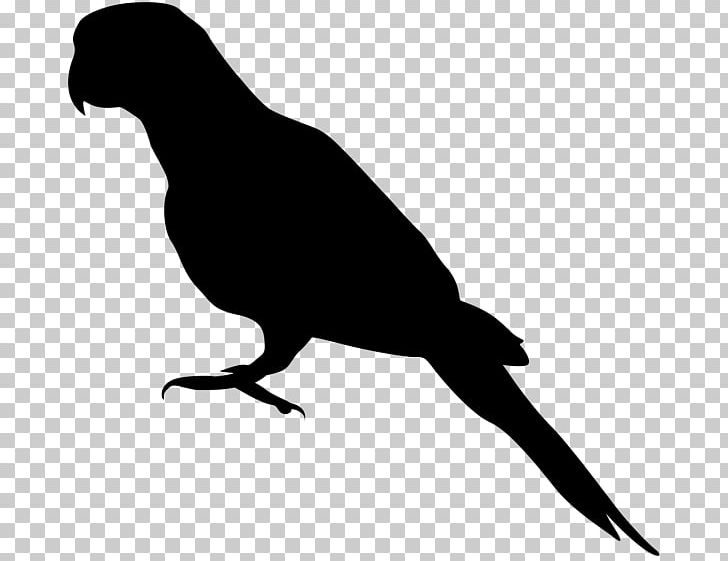 Parrot Bird Drawing Silhouette PNG, Clipart, Animals, Art, Beak, Bird, Black And White Free PNG Download