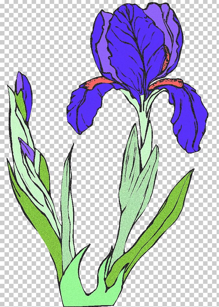 Purple Cut Flowers Moth Orchids PNG, Clipart, Art, Artwork, Blue, Color, Crocus Free PNG Download