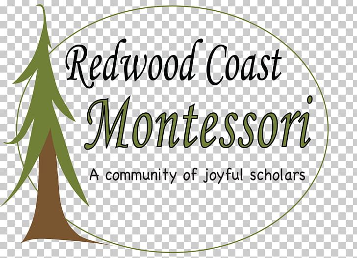 Redwood National And State Parks Eureka Redwood Montessori School Tree Redwoods PNG, Clipart, Area, Brand, California, Eureka, Flower Free PNG Download