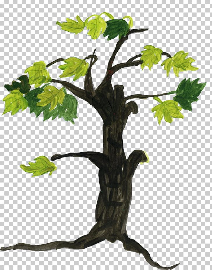 Tree Drawing PNG, Clipart, Arecaceae, Branch, Cartoon, Christmas Tree, Download Free PNG Download