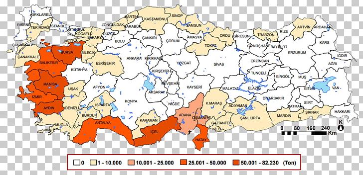 Line Point Map Tuberculosis PNG, Clipart, Area, Art, Line, Map, Plan Free PNG Download