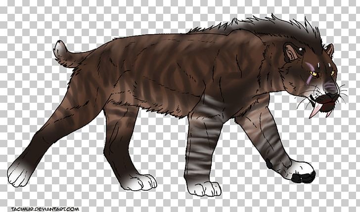 Tiger Lion Felidae Vertebrate Saber-toothed Cat PNG, Clipart, Animals, Big Cat, Big Cats, Carnivora, Carnivoran Free PNG Download