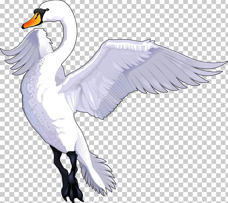 Tundra Swan Drawing Cartoon PNG, Clipart, Animals, Art, Beak, Bird, Cartoon Free PNG Download