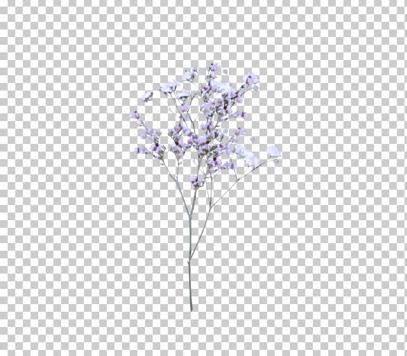 Tree Lilac Branch Plant Leaf PNG, Clipart, Branch, Flower, Leaf, Lilac, Plant Free PNG Download
