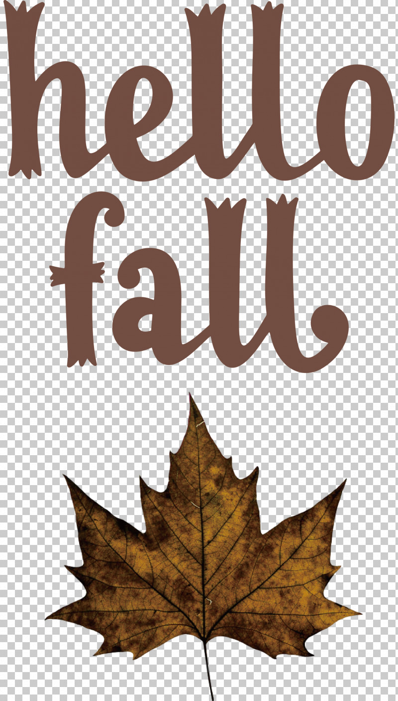 Hello Fall Fall Autumn PNG, Clipart, Autumn, Fall, Hello Fall, Leaf, Living Room Free PNG Download