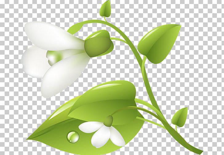 Alternative Health Services Product Design Leaf Plant Stem Medicine PNG, Clipart, Alternative Health Services, Flora, Flower, Leaf, Medicine Free PNG Download