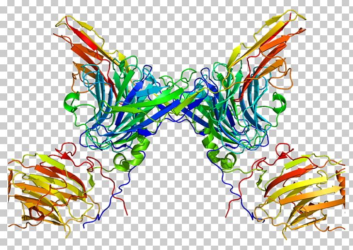 AXL Receptor Tyrosine Kinase Protein Kinase PNG, Clipart, Art, Cell, Cell Membrane, Enantiornithes, Graphic Design Free PNG Download