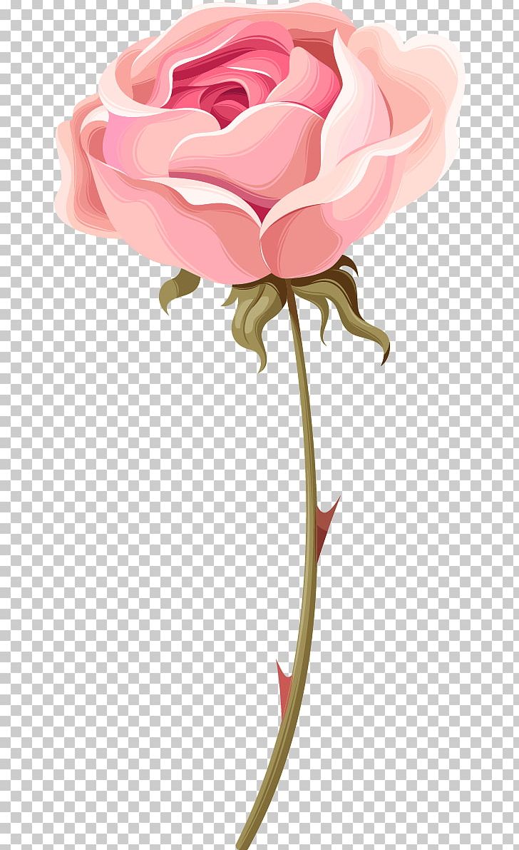 Garden Roses Beach Rose Centifolia Roses Pink PNG, Clipart, Color, Flower, Flowers, Flowers And Plants, Love Free PNG Download