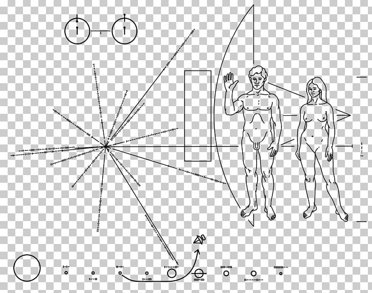 Pioneer Program Voyager Program Pioneer Plaque Pioneer 10 Voyager 1 PNG, Clipart, Angle, Extraterrestrial Life, Hand, Human, Human Body Free PNG Download