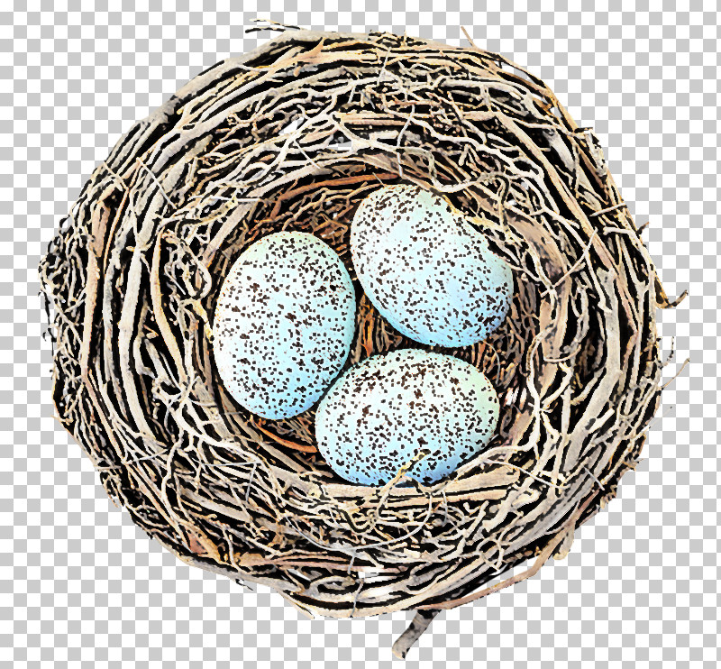 Egg PNG, Clipart, Bird Nest, Egg, Nest, Oval Free PNG Download