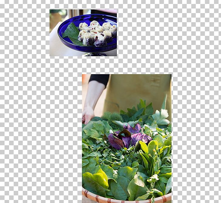 ウコンサロン Leaf Vegetable Herb Salad PNG, Clipart, Cafe, Cuisine, Floral Design, Floristry, Flower Free PNG Download