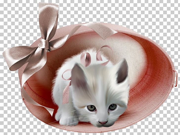 Pink Cat Animation Blingee PNG, Clipart, Animals, Animation, Blingee, Cat, Cat Like Mammal Free PNG Download