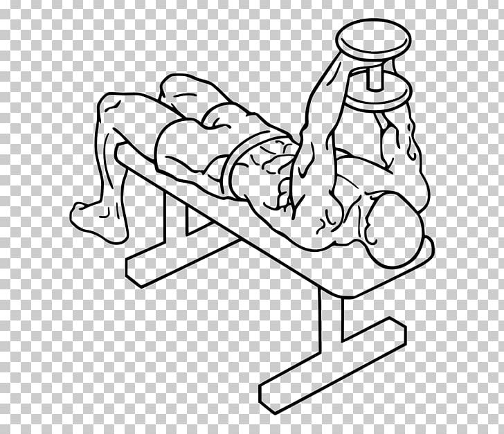 Bench Press Dumbbell Fly Barbell PNG, Clipart, Angle, Area, Arm, Art, Artwork Free PNG Download