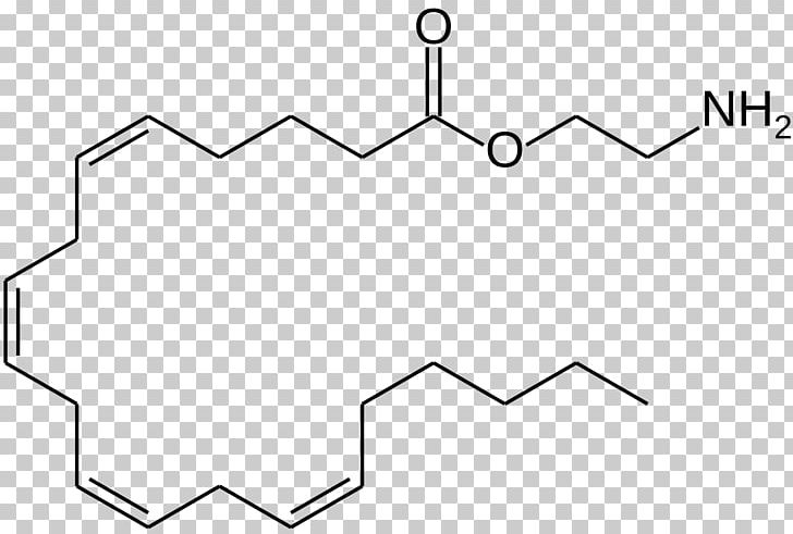 Fatty Acid Monoglyceride Amino Acid Arachidonic Acid PNG, Clipart, Acid, Amide, Amino Acid, Angle, Arachidonic Acid Free PNG Download
