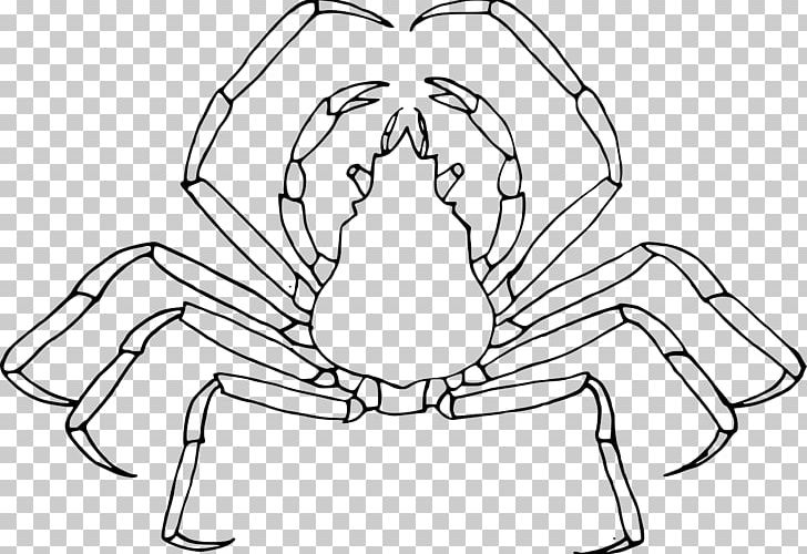 Insect Mosquito Coloring Book Child PNG, Clipart, Animals, Arm, Artwork, Black And White, Bro Free PNG Download