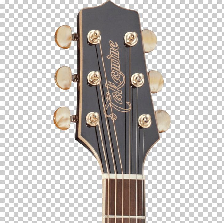 Takamine Guitars Acoustic Guitar Acoustic-electric Guitar Musical Instruments PNG, Clipart, Acoustic Electric Guitar, Brown, Classical Guitar, Cutaway, Guitar Accessory Free PNG Download