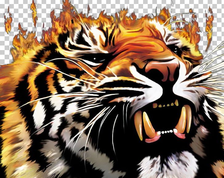 Tiger Fire Cat Lion PNG, Clipart, Abstract, Bengal Tiger, Big Cat, Big Cats, Black Tiger Free PNG Download